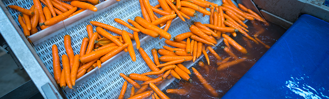Food Sub-segment Banner
